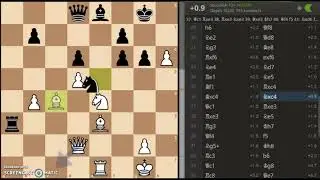 TCEC Season 20-Premier RD 1 //Stoofvlees vs AllieStein 1-0