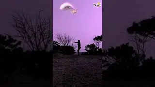 Hhdh