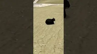 Опасный кот! #shorts #short #tiktok #gmod #games