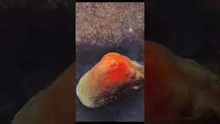 Lunar Anorthosite Test