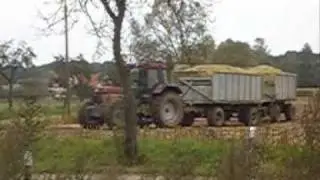 IHC 1455XL mit zwei HW80 am Maisfahren 2006