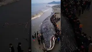 #real #place #earth #explore #travel #ocean #dangerous #amazing