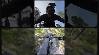 Original Chaos MTB Enduro Ride