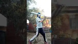 Ejercicio de Shii Cho en punto fijo