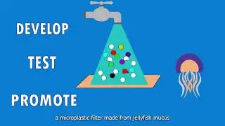 GoJelly Horizon 2020 project - use of jellyfish for innovative solutions