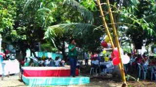 mandarin mini forest part of gmawd celebrate its 20 years.