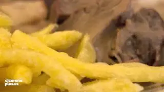 MORCILLO ASADO con patatas de La Taberna Madrile&ntilde;a