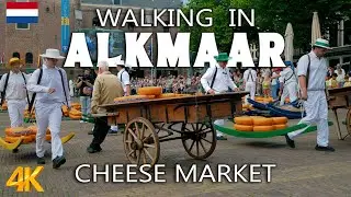 Alkmaar Cheese Market in 4K 🇳🇱 | Traditional Alkmaar Cheese Market Tour 2025