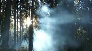 Michigan Renaissance Festival Promo 2021