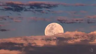 Frei Films - SuperMoon June 2021
