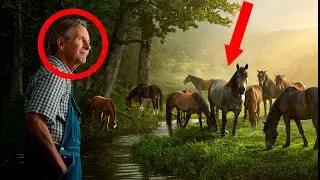 The Ghost Herd of Pioneer Sanctuary: A Farmer's Unspoken Promise