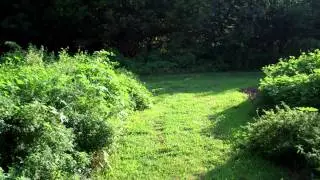 Palmyra Cove Nature Park 20.MP4
