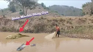 Village River Amazing Cast Net Fishing||Real Village Fishing Videos