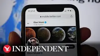 Twitter removes legacy 'blue tick' checkmarks as Elon Musk fulfills promise to pull plug