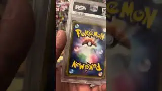 Japanese V/S English Pok&eacute;mon Cards