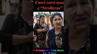A Strollecaa (Curri curri esso a &ldquo;Strolleca
