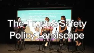 The Trust and Safety Policy Landscape