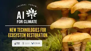 AI for Climate Global Forum - New technologies for ecosystem restoration