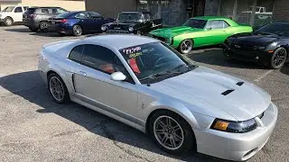 2003 Mustang Cobra Low Miles Sold Fast $19,900 Maple Motors