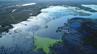 Parque Nacional Ciervo de los Pantanos