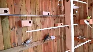 VoLaDeRo aViAriO eXoTiCoS CAP-7 HD (9-7-2013)