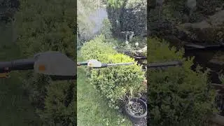 Affordable Cordless Pole Hedge Trimmer #hedgetrimming #gardentools #gardening #awardwinning #garden