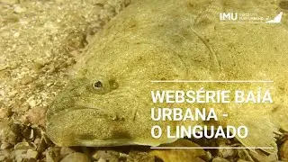 WebSerie Ba&iacute;a Urbana - Epis&oacute;dio 04 - Linguado