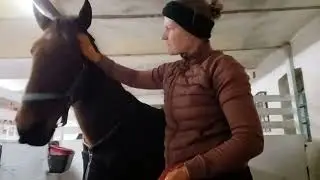 1. Januar 2026 ved Misse og Fille