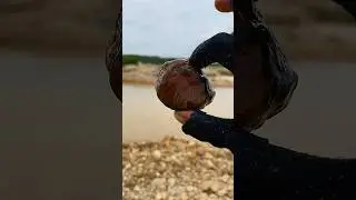 Hunting for unique stones and beautiful motifs at gold mining #hunting #gemstone #goldmine #agate