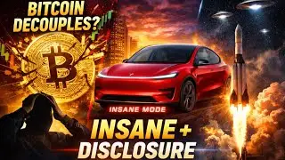 Биткоин выходит на свободу, Tesla сходит с ума, а IPO SpaceX проходит в день объявления результатов.