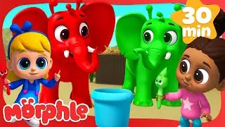 Paint The Animals! | MORPHLE | Creative Kids Club