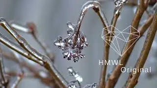 Jasch Patrick - Montana (Original Mix) [Melodic House 2024 / HMWL063]