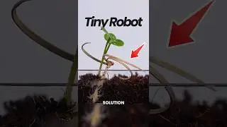 Роботы-самопосевщики семян