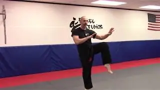 Circle of the Tiger- teaching video