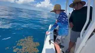 Lost the anchor in the Florida Keys while yellowtailing. 🎣