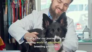 The Art and Science of Dog Breeding