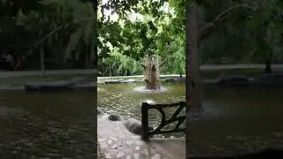 Tabriz University Garden - باغ دانشگاه تبریز