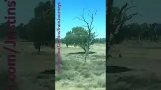 VLINE Southern Cross To Swan Hill 231225 #VLINE #TRAINS #TRAVEL #SHORTS #RAILFANS #RAILWAY #RAIL