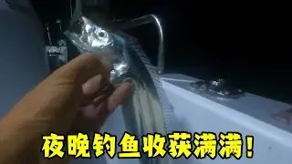 夜钓鱼情太暴躁了，鱼获满满两大箱，爱上夜钓了#原来钓鱼才是抖音运动顶流 #熱門
