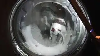 LG AiDD Steam Washer, Trainer wash on Delicates 40 with Intensive (No trainers requests please)