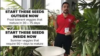 What to grow from Seed in February in South Carolina