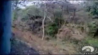 NFR WILDLIFE | 12501 POORVOTTOR SAMPARK KRANTI | WILDLIFE WB via INDIAN RAILWAYS