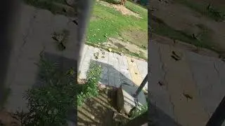 @ritugupta-yj4pc