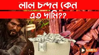 লাল চন্দনের এত কেন দাম ?? | Live Television