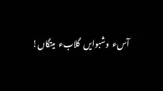 Balochi poetry _black screen status video :)