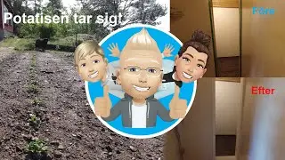 Hur g&aring;r det med landet? Och stugan ska hyras ut!
