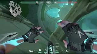 Lotus Door Bug