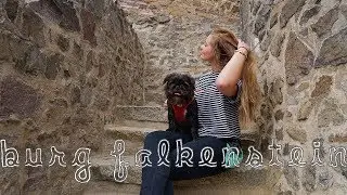 Es h&auml;tte so einfach sein k&ouml;nnen...mit HUND zur BURG FALKENSTEIN - Vlog | Kobeswelt