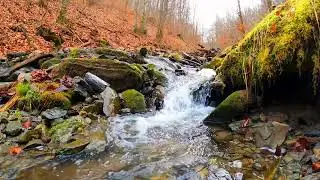 Relaxing Nature Atmospheric Sounds - Autumn Mountain Creek and Soothing Flute Music