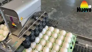 Nuovo Egg Stamper - Easy Stamp Compact R6 - Moba100